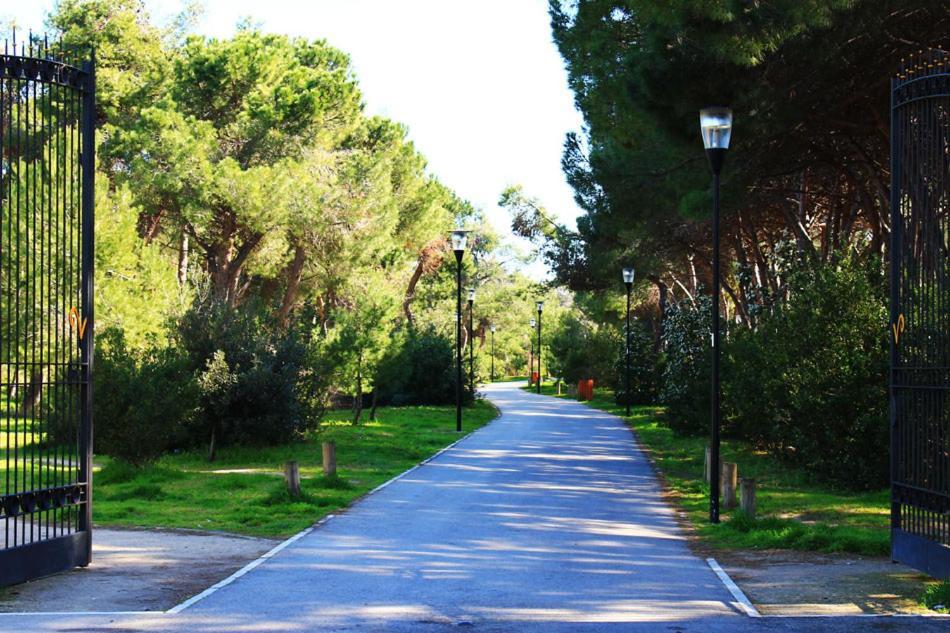 Carducci 83 Bed and Breakfast Pescara Exterior foto
